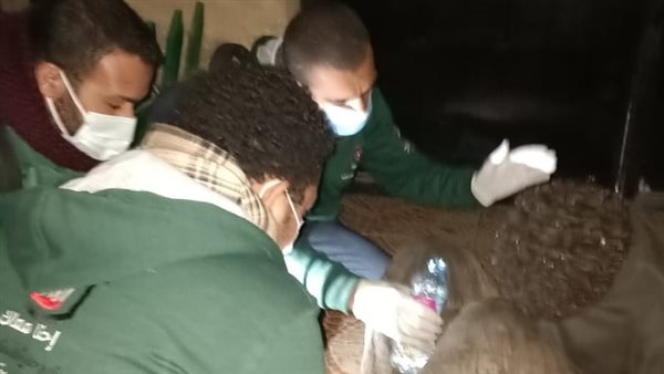 صورة من الجولة 