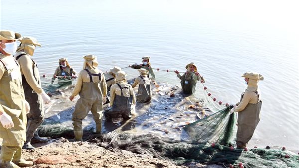 مشروع الفيروز للاستزراع