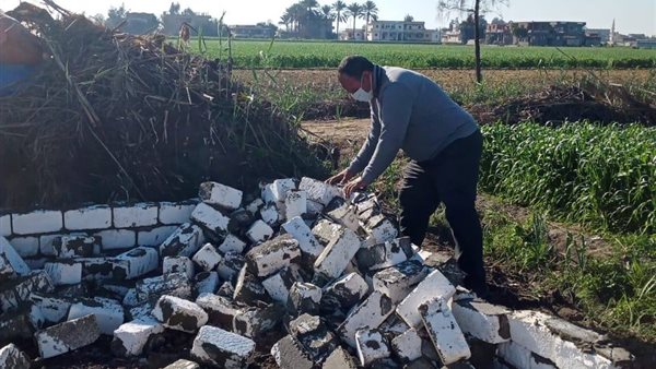 جانب من الحملة