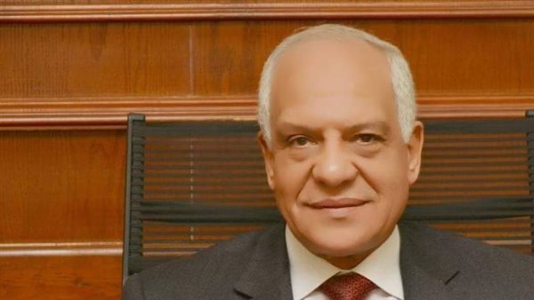 أحمد راشد محافظ الجيزة