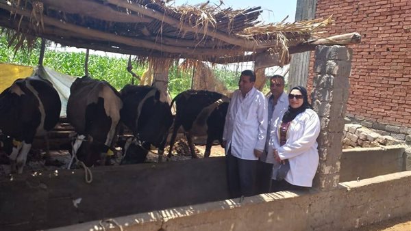 جانب من حملة الطب