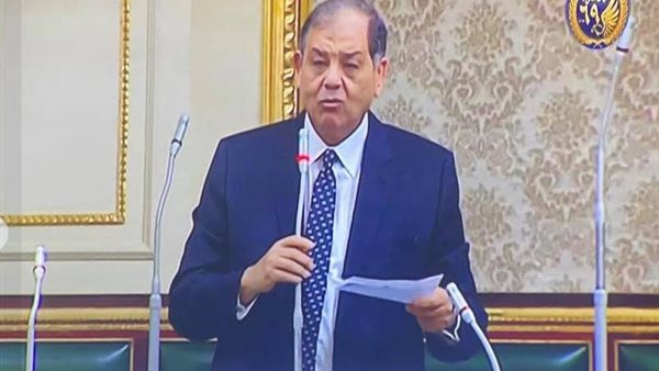 النائب عباس السادات