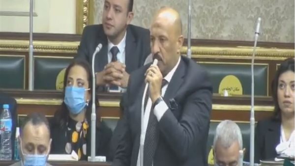 النائب احمد الحديدي