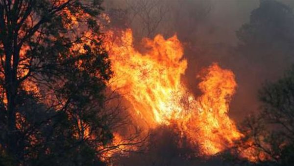 صورة ارشيفية