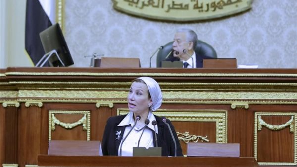 الدكتورة ياسمين فؤاد