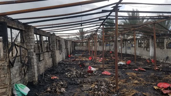 جانب من الحدث