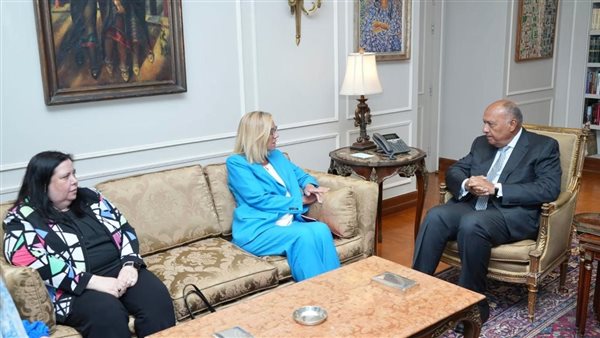 لقاء سامح شكري وسيجريد