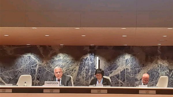   السفير الدكتور