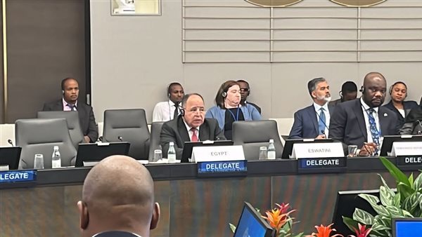 الدكتور محمد معيط