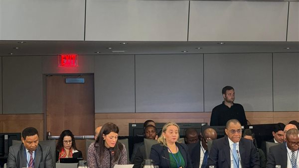 وزيرة التعاون الدولي