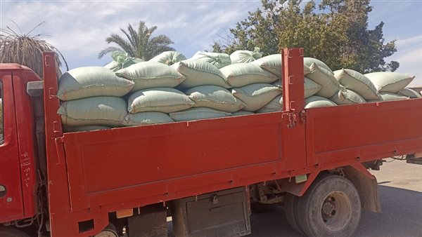  محصول القمح