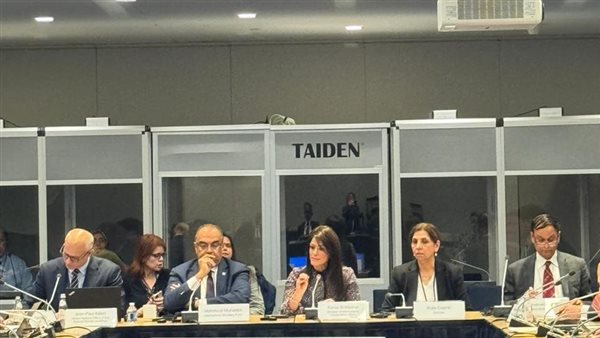 وزيرة التعاون الدولي