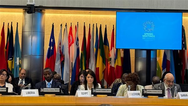  الدكتورة رانيا المشاط