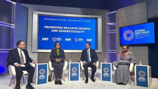 وزيرة التخطيط 