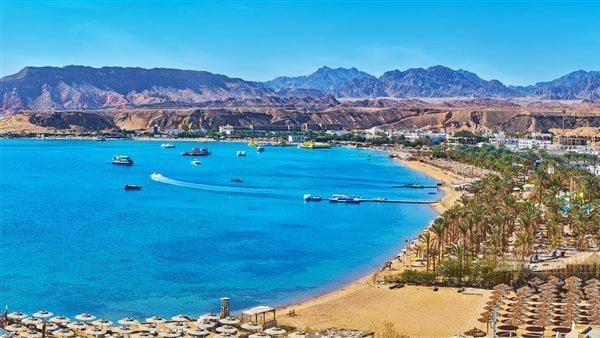 رأس جميلة - أرشيفية