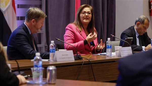 جانب من المشاركة