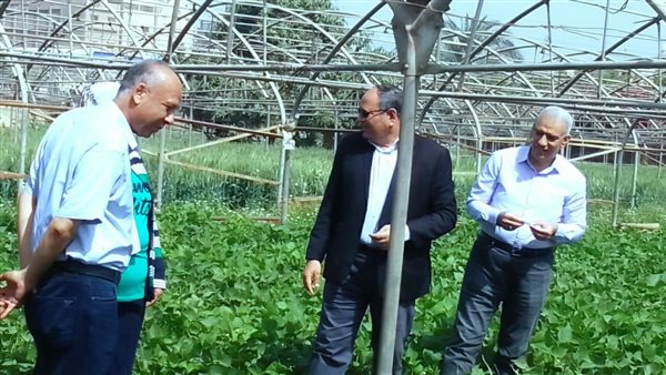 جولة تفقدية 