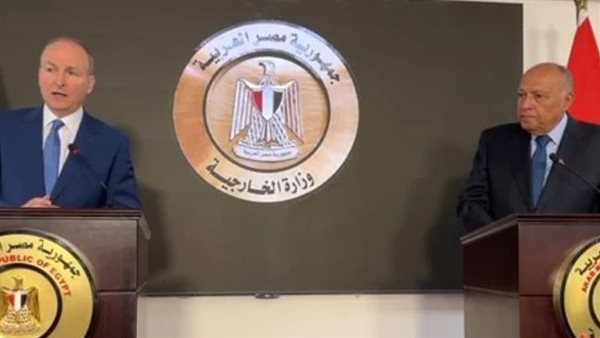  «مارتن»، خلال كلمته