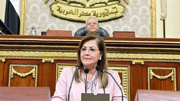 وزيرة التخطيط