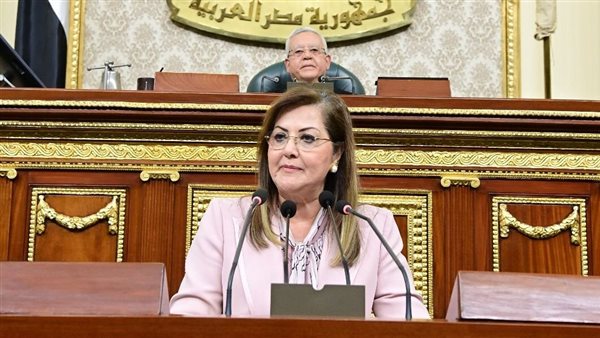 وزيرة التخطيط