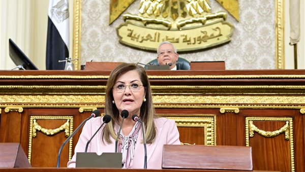 وزيرة التخطيط