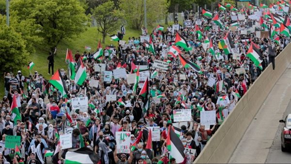 طلاب الجامعات في