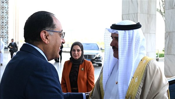 رئيس الوزراء يستقبل