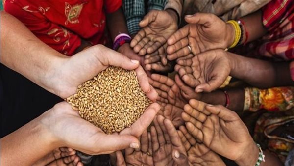 الأمن الغذائي 