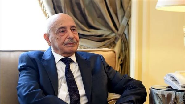 المستشار عقيلة صالح