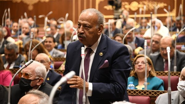 النائب هاني العسال