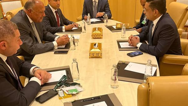 سامح شكري، وزير الخارجية