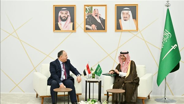 جانب من اللقاء -