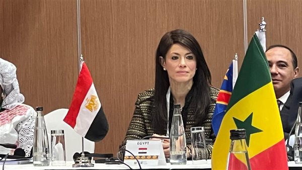 وزيرة التعاون الدولي