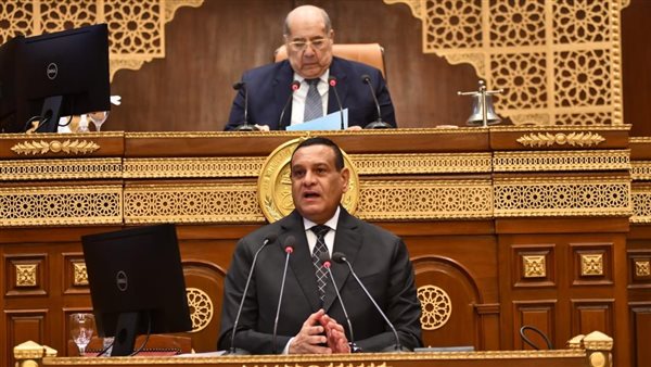 وزير التنمية المحلية