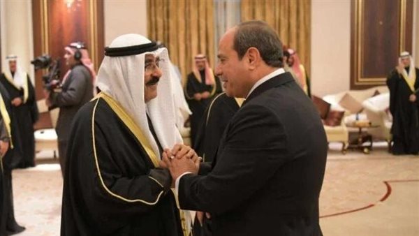 الرئيس السيسي وأمير