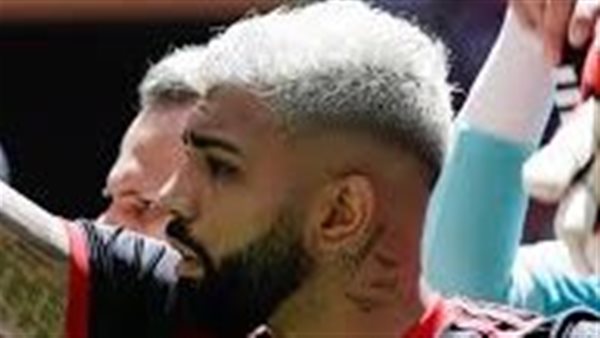 جابريل باريوسا