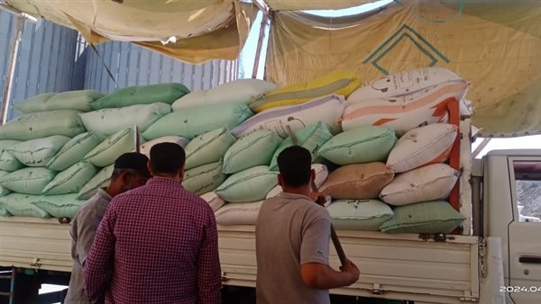 شون كفر الشيخ