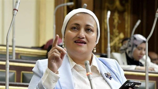 النائبة/ سناء السعيد