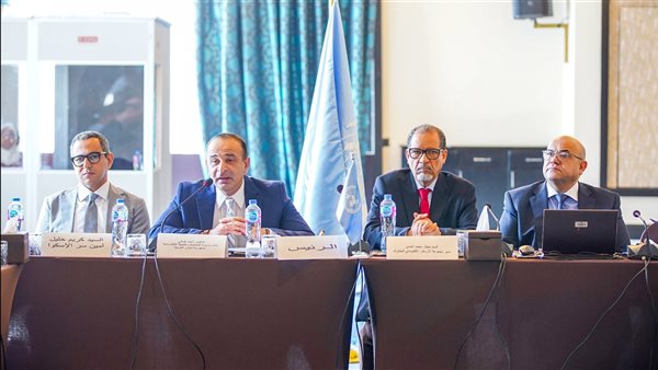 نائب وزيرة التخطيط