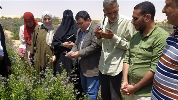 الأنشطة الإرشادية