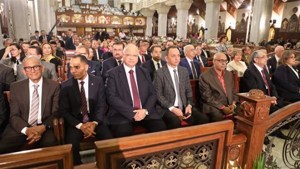 محافظ القاهرة 