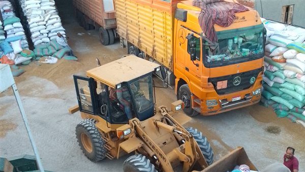 إستلام  قمح من المزارعين