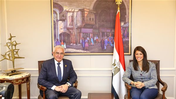 وزيرة التعاون الدولي