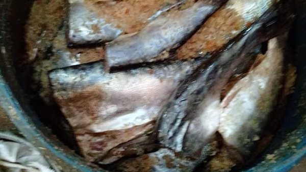 ضبط لحوم وأسماك مملحة