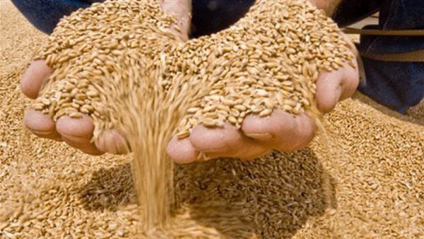 صورة  أرشيفية