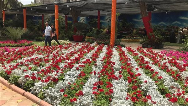 صورة  أرشيفية