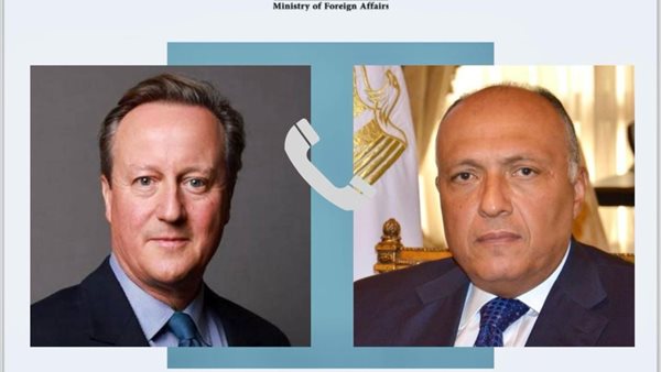 وزيرا خارجية مصرالمملكة