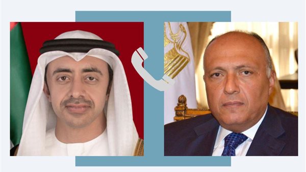 سامح شكري ونظيره