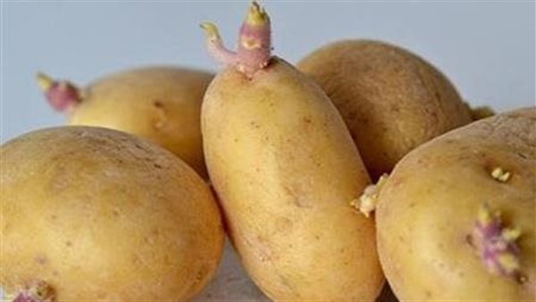 صورة  أرشيفية