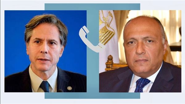 سامح شكري ونظيره